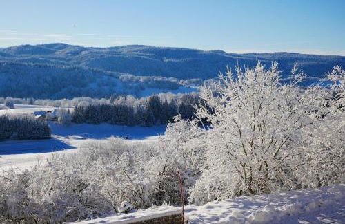 Chalet l'éléphant - Foto 28