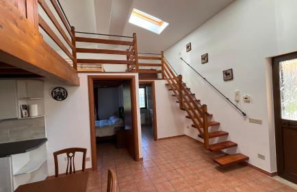 La tana dei Ricci - Foto 20