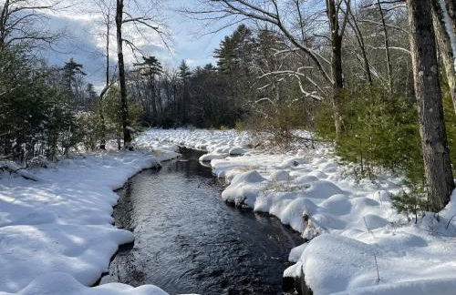 2 Lake Cabins Poolhottub Game Room & Courts - Foto 50