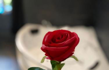 Love Room avec jacuzzi & lit King Size - Foto 20