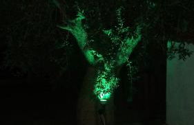 Olive Tree Apartments - Foto 140