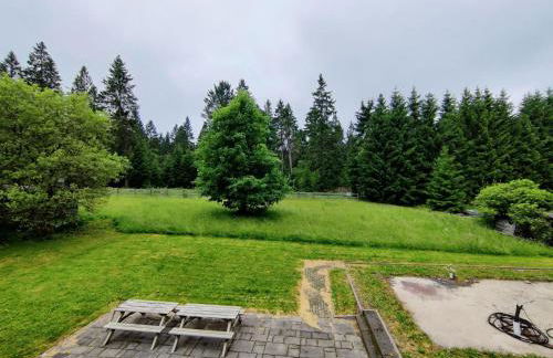 Spacious semi-detached house with wood stove located directly on the Rennsteig - Foto 1