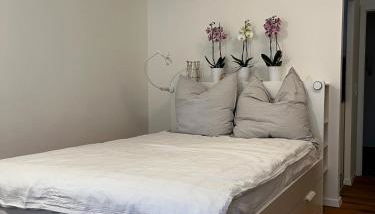 NO-Television One bedroom apartment - Foto 3