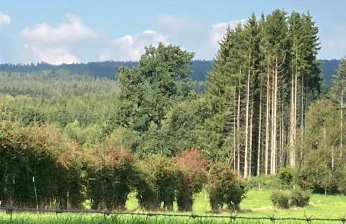 Eifel Garden Hideaway - Foto 61