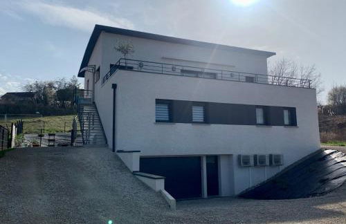 Le Majestic - Foto 12