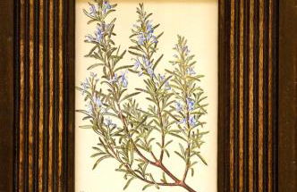 Casa Rural La Botica - Foto 53