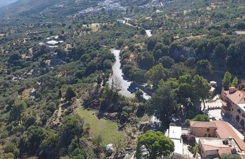 Iselia House - Photo 45