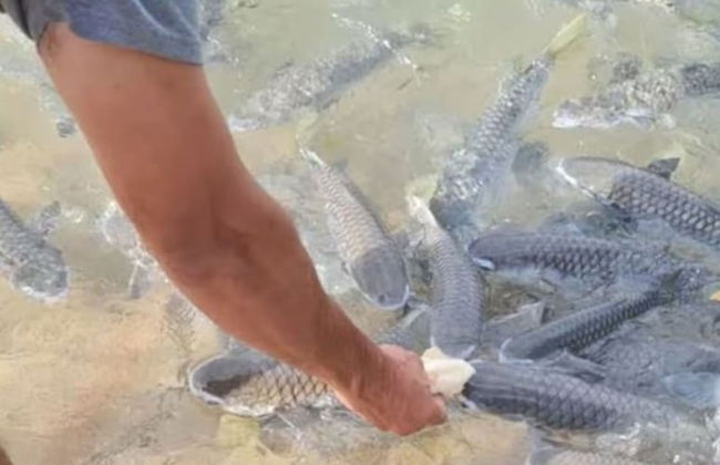 Anchor Point Penthouse Marina Views Pool Bbqs - Foto 47