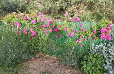 Meteora countryside villa - Foto 46