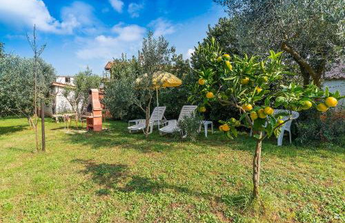 Apartmani Mirjana Umag - Foto 18