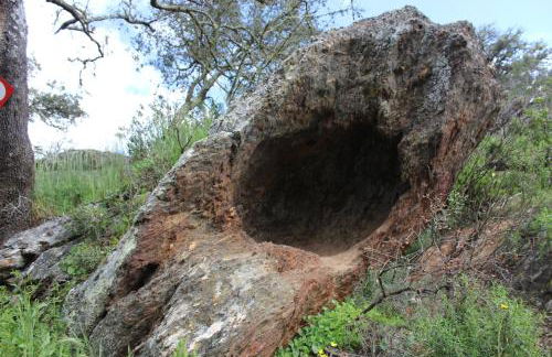 Agroturismo Xistos - Foto 15