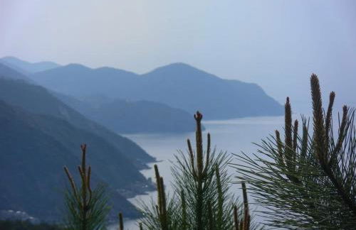 Villa Venino - Foto 34