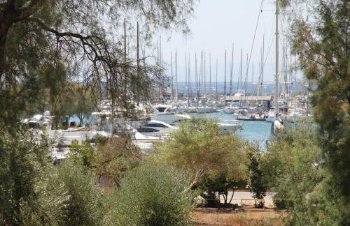 Olga's Studio - Foto 44