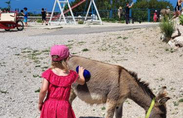 Villa Suzi - Family Farm Stay with Donkeys, Pool and Sea View near Rijeka - Photo 1