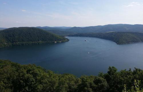 Dog-friendly Holiday Home in the Knull - Foto 5