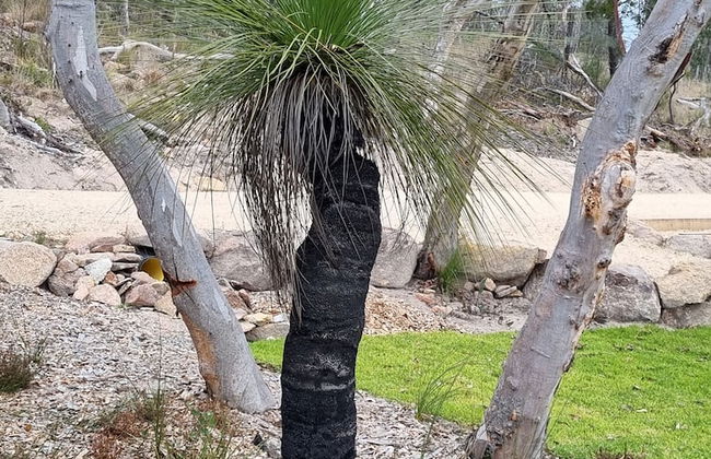 Glen Lough Cabins - Foto 31