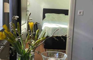 Zwei Zimmer Appartement Elbtalaue - Foto 9