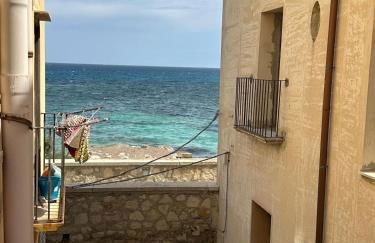 Residenza Verde Corso Vittorio - Foto 2