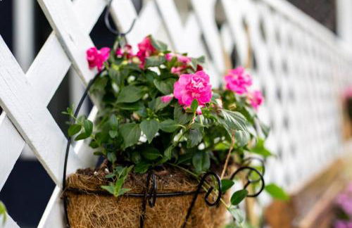 NEW - Modern Rustic Retreat Ardmore Chalet - Foto 11