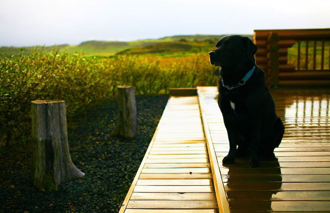 Log Cabin at White River - Foto 35