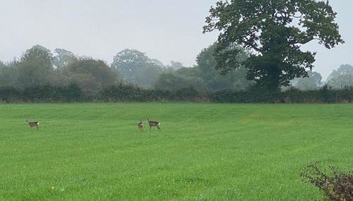 The Udderhouse - Udderly Unforgettable Retreat - Foto 3