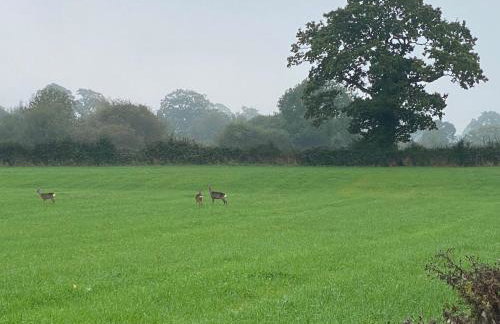 The Udderhouse - Udderly Unforgettable Retreat - Foto 3