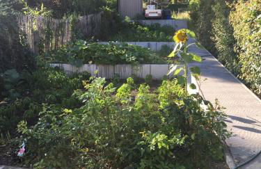 Ferienwohnungen Weiherhausstraße 6 - Foto 10