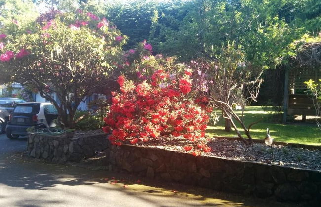 Salty Towers Oceanfront Cottages - Foto 36