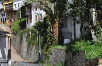 Ollar do Cido - Foto 37