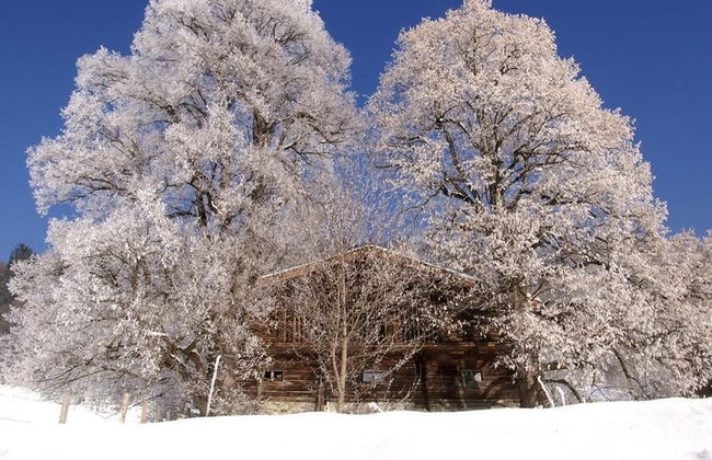 Garden House - Foto 31