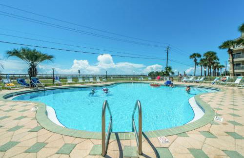 Sandy Pelican - Foto 42