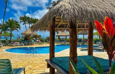 Islander Ocean Resort Condo # 166 - Foto 53