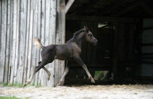 Pure Nature Munich - Amper Meadows/Freising - Foto 57