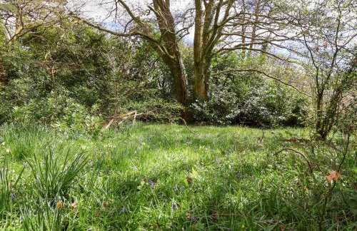 Dunridge Cottage - Foto 27