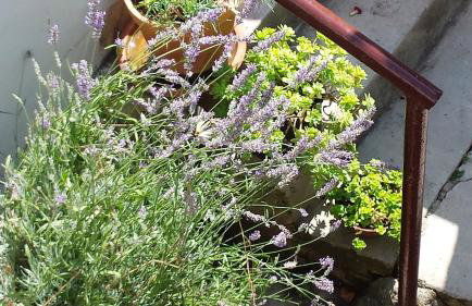 Apartments Princip - Photo 8