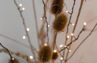 Entire home in Staffordshire - Foto 49