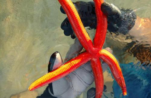 Maria Blue House - Foto 74