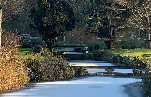 The Quackery - Foto 28