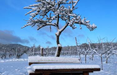 Atelier de Pfalz-Loftstyl mit Pfalzblick - Foto 53