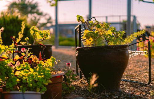 Alojamiento rural Las Alberquillas - Foto 18