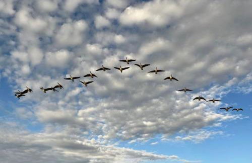 Little Woodlands Chalet with Private Garden & Hot Tub - Foto 26