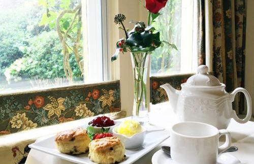 Penmorvah Manor Hotel - Foto 48