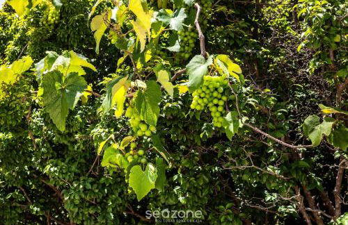 Casa Espaçosa em Poços de Caldas SPL0342 - Foto 25