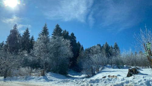 Ferienhäuschen Gartenblick - Foto 3