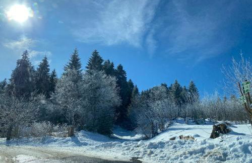 Ferienhäuschen Gartenblick - Foto 3
