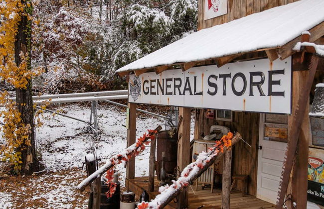 Rocky Top Mountain Coaster Tickets - Photo 10