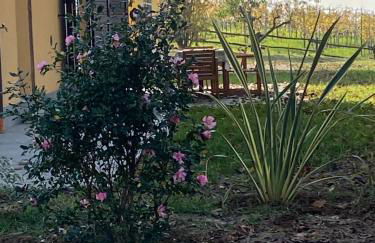 Villa panoramica sulle colline del Monferrato - Foto 50