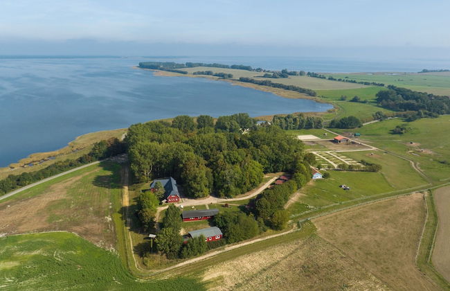 Bernsteinland Barth - Photo 1