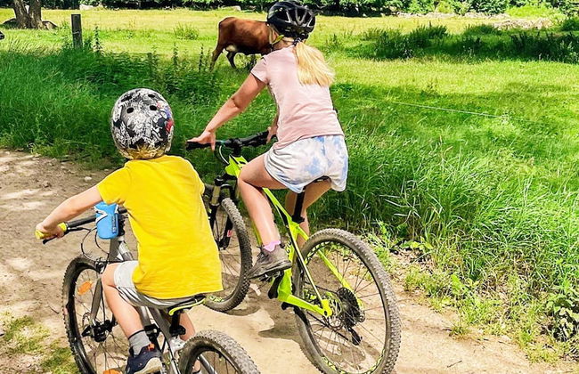 Holiday Home in Ronneby - Photo 6