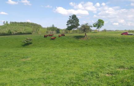 Harzer Bauernhof - Foto 6